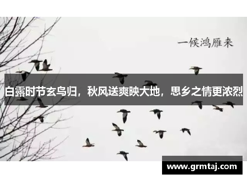 白露时节玄鸟归，秋风送爽映大地，思乡之情更浓烈